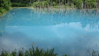 美瑛観光の新名所