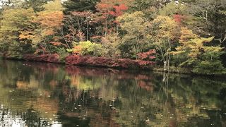 紅葉が水面に映る池