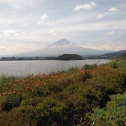 富士山＆河口湖＆季節の花々
