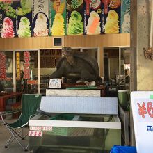 白浜産サザエの壺焼きも目の前で焼いてくれます