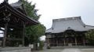 徳川家康ゆかりのお寺