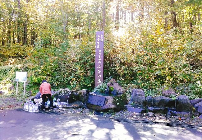 (ぶなの恵み)　四ヶ所から水を汲むことができ、水量は豊富です