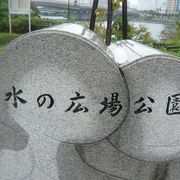 水の広場公園は、有明地区にある東京都立の公園で、港湾の一角にあります。