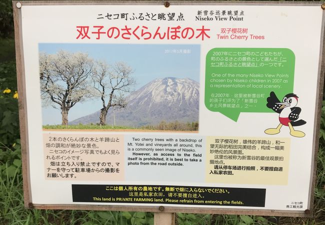 双子のさくらんぼの木 クチコミ アクセス 営業時間 ニセコ フォートラベル 双子のさくらんぼの木 クチコミ アクセス 営業時間 ニセコ フォートラベル