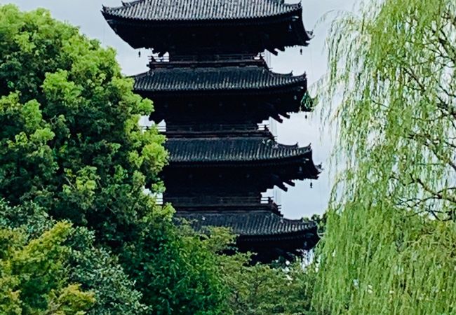 東寺 五重塔 クチコミ アクセス 営業時間 京都駅周辺 フォートラベル