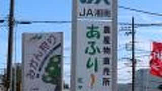 コキアの苗もあります！