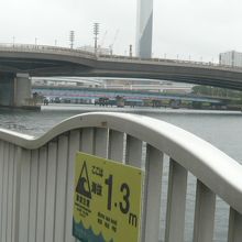 水の広場公園から見た夢の大橋です。独特の形状をしています。