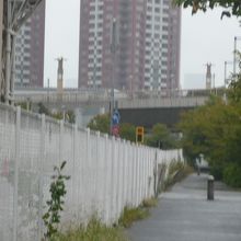 水の広場公園とパレットタウンの間に、夢の大橋が見えます。