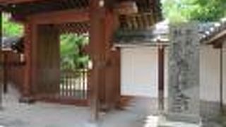 緑が多いお寺です