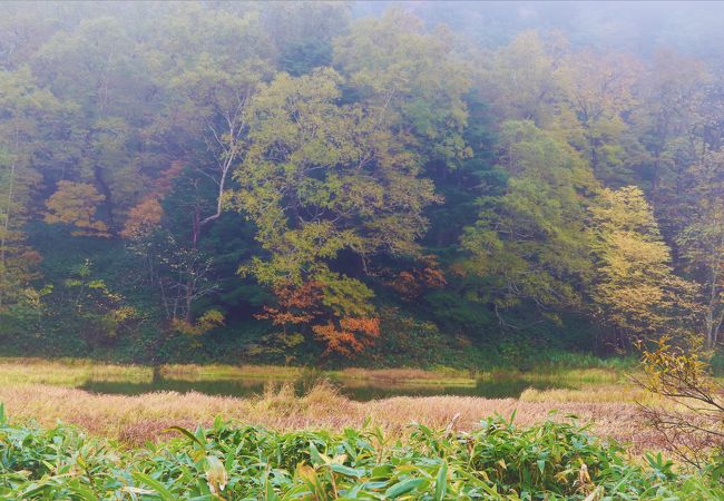 車で通り過ぎてしまいがちですが、紅葉の頃は見事な景観