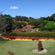 パーク内に入ると沢山の色とりどりの花が咲いていました