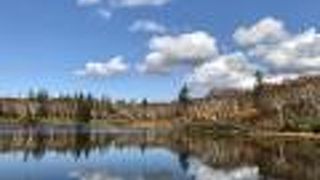 沼に映る紅葉も綺麗