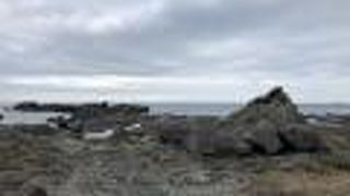 看板が出ています