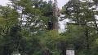 車でアクセスできます