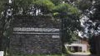 屋久杉自然館とあわせて訪問できます