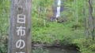 白布の滝へは、朝食前にホテル側の案内で訪れて、渓流沿いでモーニング珈琲のサービスを受けました。