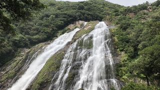 間近で見られます