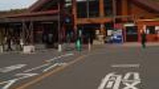 野菜もたくさん