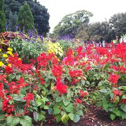 いつも通り抜ける公園！(^-^ゞ