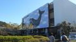 くじらの博物館を中心にした公園