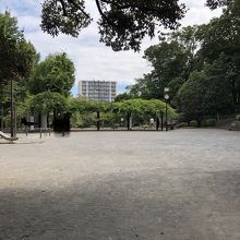 不動公園