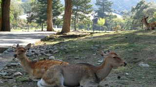 訪問は絶対に夕方がおすすめ☆