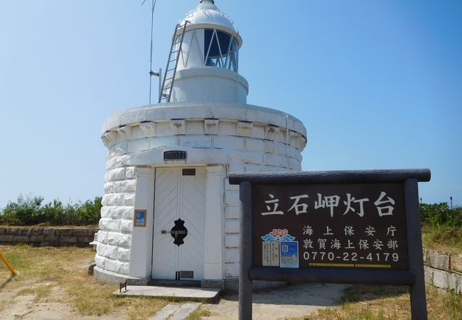 草むらの中を進む