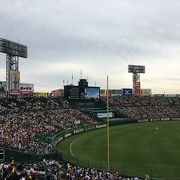 阪神甲子園球場で伝統の一戦！勝敗関係なく楽しめました