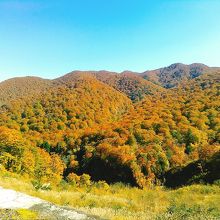 紅葉のシーズン、カラフルな須川高原