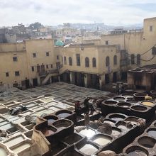 白と茶色のコントラスト。