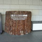 陸前高田市立博物館コレクションが遺す地域の自然と文化　自然史標本レスキューの現在地点