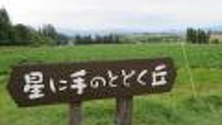 星に手のとどく丘で好物のジンギスカン！