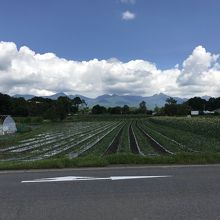 メルヘン街道八ヶ岳連峰の眺め