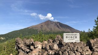 いろいろな角度から楽しめます