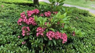 かんてんぱぱという会社のショップのお庭は本当に素晴らしかったです。ショップではかんてんぱぱの試食もできました。もちろん無料です、家族ずれが多かったです。味は２種類しかないですが、お勧めです。