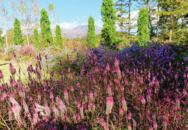 無料開放の感動的な景色が広がる庭園