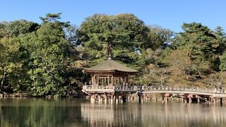 綺麗な景色を眺めながらひと休み