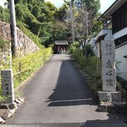 ちょっとした植物園のような庭