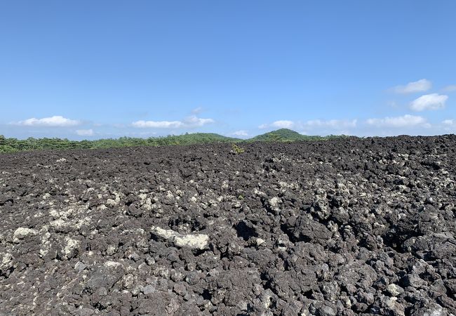 岩手山の噴火の威力を物語る