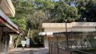 鹿児島市内が一望できる公園