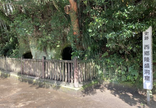 西郷洞窟 クチコミ アクセス 営業時間 鹿児島市 フォートラベル 西郷洞窟 クチコミ アクセス 営業時間 鹿児島市 フォートラベル