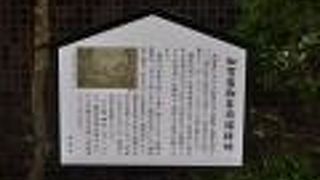 今は税理士法人の事務所ビル