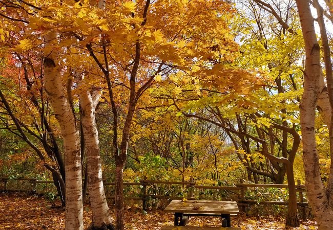 10月下旬、紅葉狩りの丘陵公園