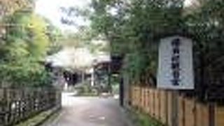 美しい観音様です