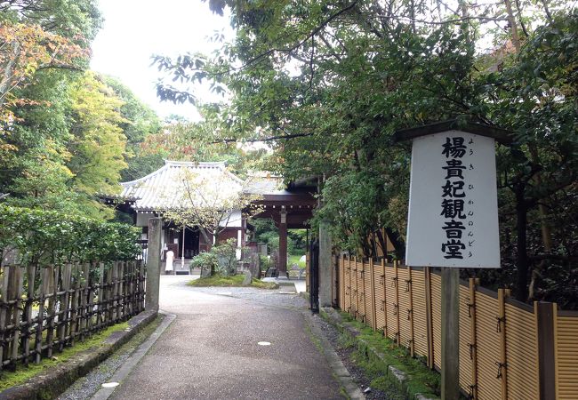 泉涌寺 楊貴妃観音堂 クチコミ アクセス 営業時間 東山 祇園 北白川 フォートラベル