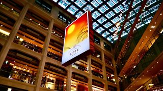 何もかもが好き！