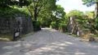 六角形の石(亀甲石)が埋め込まれています