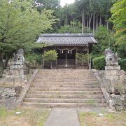 登山道があります