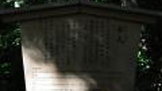 今は森があるだけです