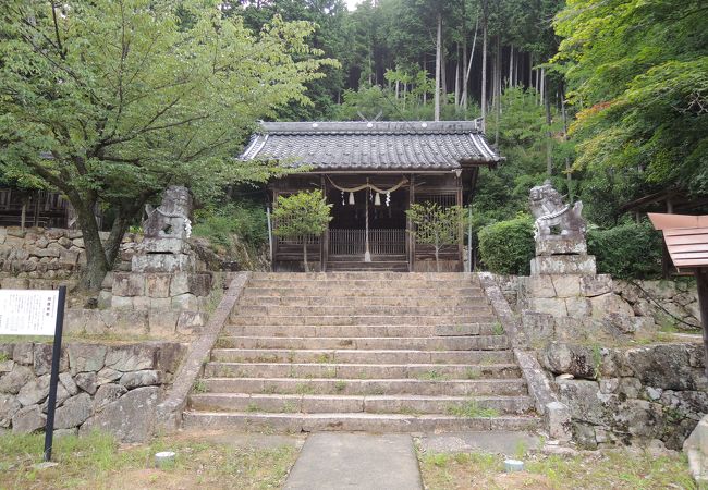 登山道があります